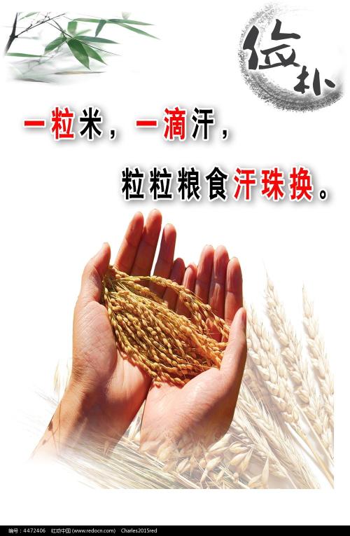仿制图卢兹第二大学毕业证